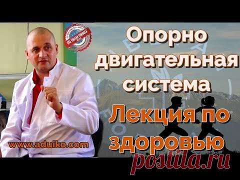Опорно двигательная система - Лекция по здоровью