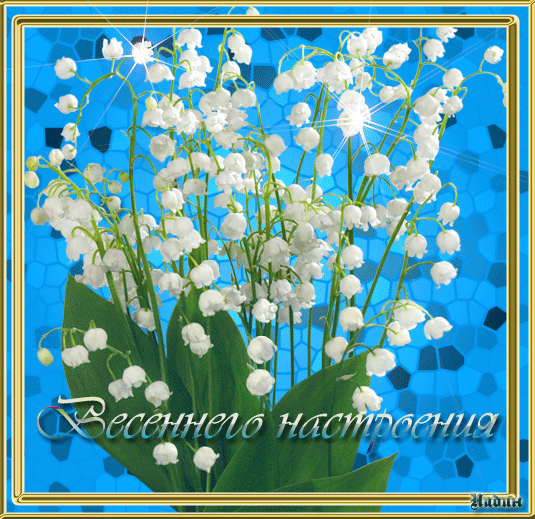 разное