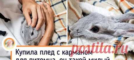 15+ привычных вещей, которые разрабатывали дизайнеры уровня «бог»