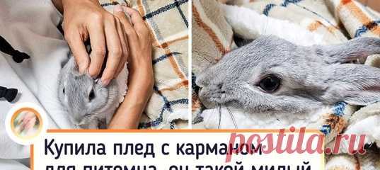 15+ привычных вещей, которые разрабатывали дизайнеры уровня «бог»
