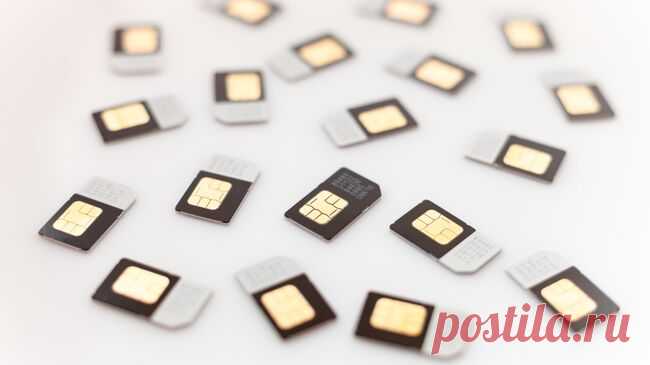 В Кремле оценили систему охлаждения для сим-карт вернувшихся из-за рубежа