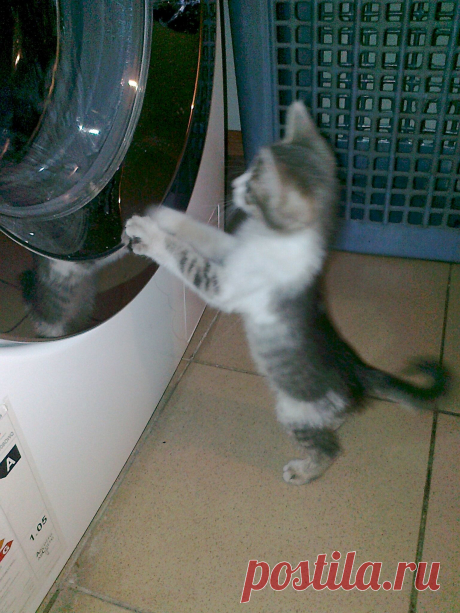 Любопытство!)