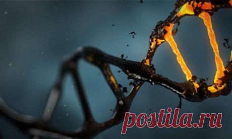 Учёные получили новую информацию о том, почему мы стареем – Новий День Группа исследователей из Института молекулярной биологии в Майнце в Германии опубликовала новое исследование, озаглавленное «Нейрональное подавление комплекса нуклеации аутофагии продлевает