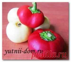 Как мариновать болгарский перец Кулинарный рецепт | Уютный дом