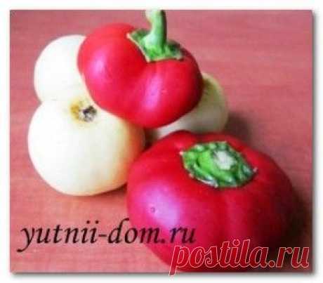 Как мариновать болгарский перец Кулинарный рецепт | Уютный дом