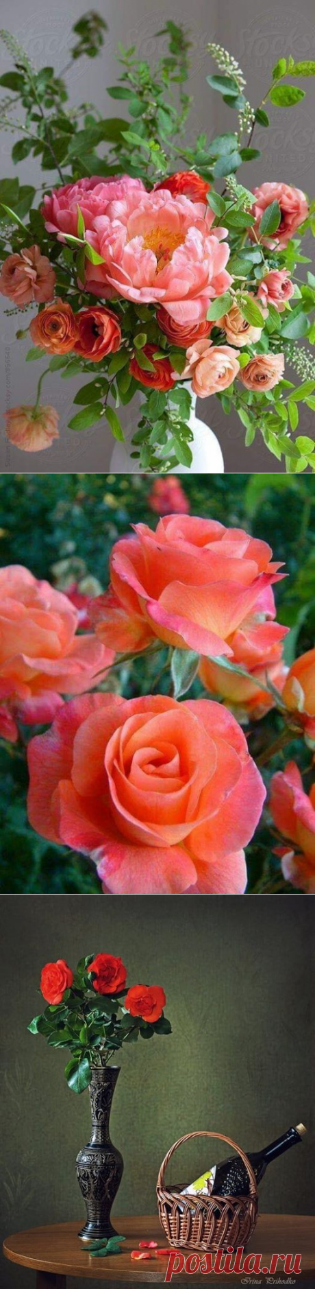 (2) Facebook