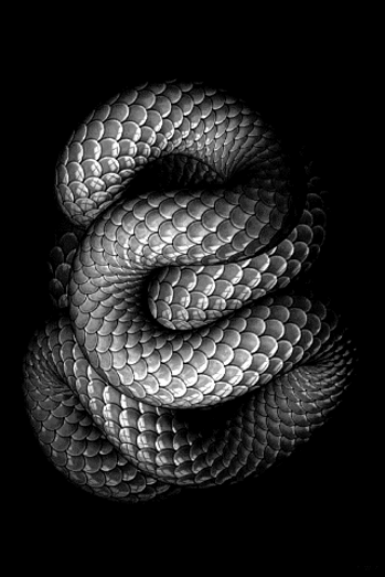 f86f5e66ac56c43f673bcb48aec75405.gif (349×523)