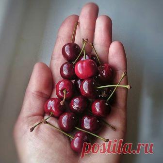 Немного улучшила свои полимерные вишни-черешни. Мое давнее желание. Теперь цвет стал более насыщенным, а блеск более глянцевым. Очень довольна😊

На фото на руке у меня две вишенки из предыдущей партии. Они тоже красивые, и мне нравятся, но по сравнению с обновленными кажутся немного тускловатыми и матовыми. Найдёте их?

Про новое покрытие-открытие поделюсь в своем мастер-классе по вишенкам🍒 с теми, кто уже приобрёл его и делает наш мир еще красивее. Подробно всё расскажу...