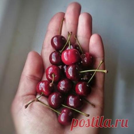 Немного улучшила свои полимерные вишни-черешни. Мое давнее желание. Теперь цвет стал более насыщенным, а блеск более глянцевым. Очень довольна😊

На фото на руке у меня две вишенки из предыдущей партии. Они тоже красивые, и мне нравятся, но по сравнению с обновленными кажутся немного тускловатыми и матовыми. Найдёте их?

Про новое покрытие-открытие поделюсь в своем мастер-классе по вишенкам🍒 с теми, кто уже приобрёл его и делает наш мир еще красивее. Подробно всё расскажу...