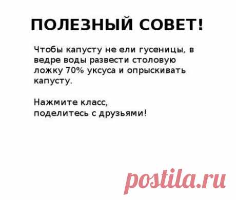 (25) Одноклассники