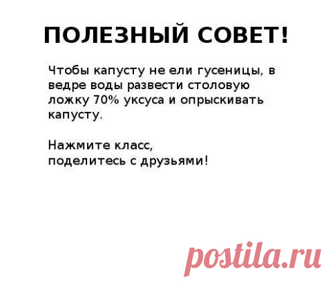 (25) Одноклассники