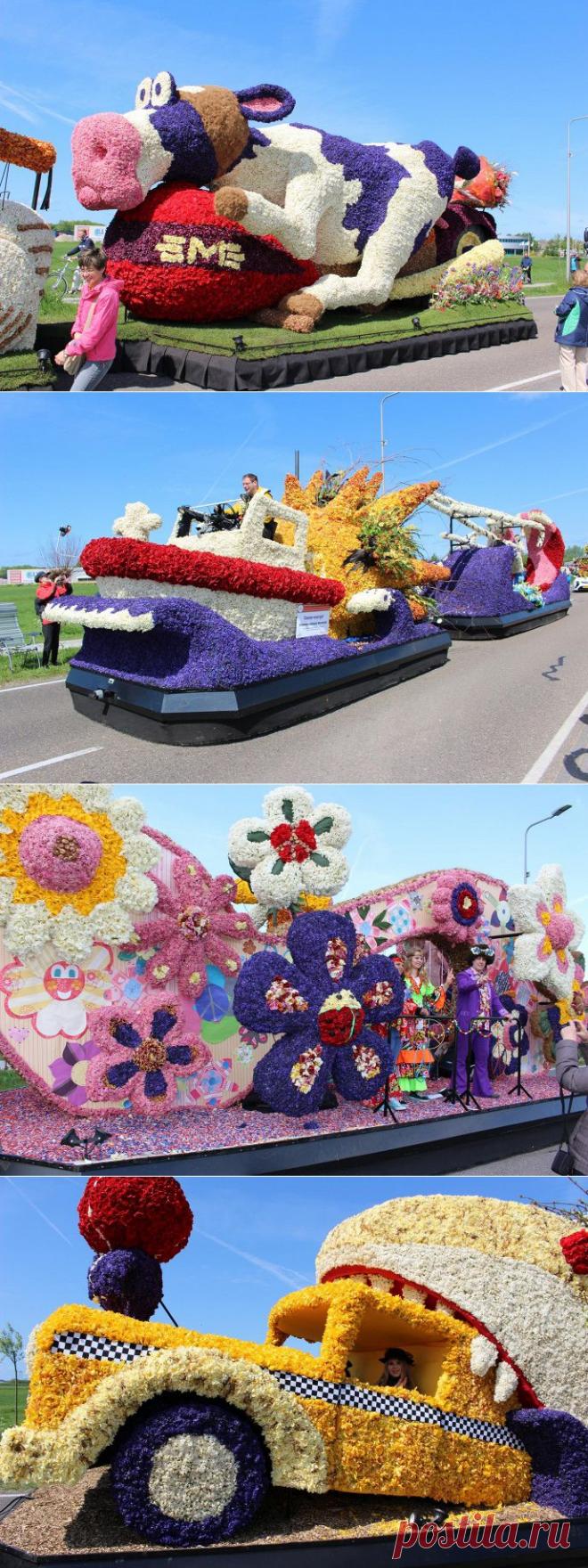 ИТАР-ТАСС: Общество - Корова на мотоцикле признана лучшей цветочной скульптурой на Параде цветов в Нидерландах