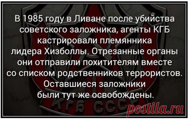 по поводу террористов