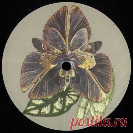 Various – ENFASI002 / ENFASI002