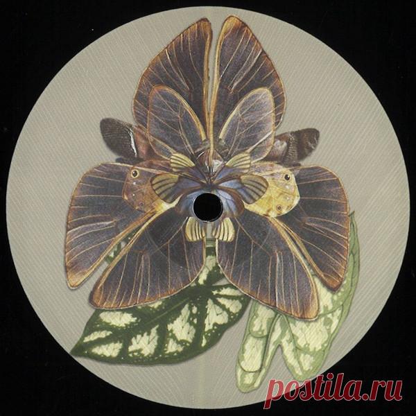 Various – ENFASI002 / ENFASI002