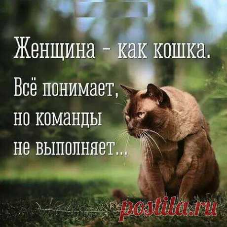 (3) Facebook