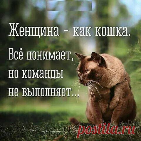 (3) Facebook