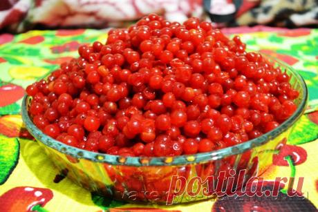 Варенье из калины