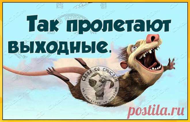 Картинки с словами со смыслом (40 фото) ⭐ Забавник