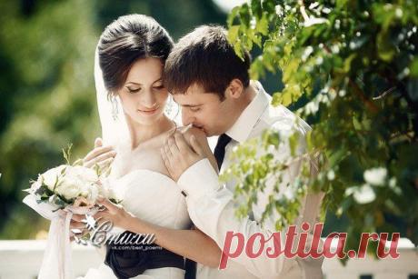 Вы все хотите юных, непорочных,
Не любящих ни разу никогда,
А сами проверяете на прочность
Бывалых шлюх с соседнего двора

Вы все хотите все одновременно
Наивную красотку для души,
Для тела же находите мгновенно
Вульгарных телок в роковой глуши.

Вы все хотите тех, кто не оставит,
Кто будет ждать вас целые года.
Взамен даете боль, что сердце ранит,
Тайком лаская блудные тела.