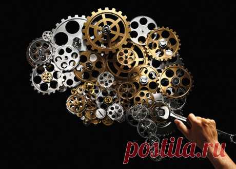 Работа мозга: все, что ты должен знать, чтобы не выжить из ума