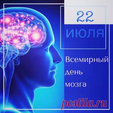 Всемирный день мозга отмечается ежегодно 22 июля. Мозг меняется с возрастом, и психические функции меняются вместе с ним. Однако когнитивные и возрастные нарушения можно остановить!