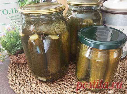 Солёные огурцы — как из бочки — Дачный участок