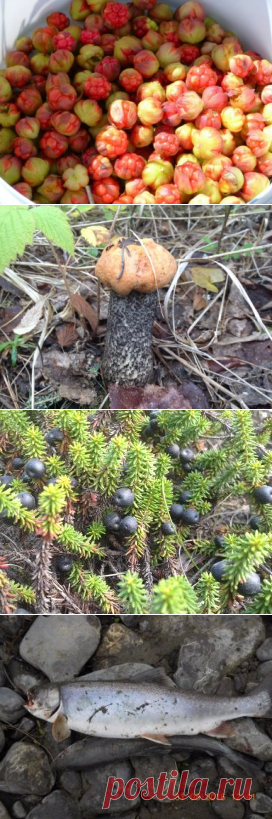 (48) Одноклассники