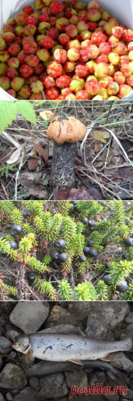 (48) Одноклассники