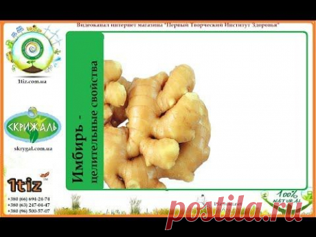 Имбирь   целительные свойства