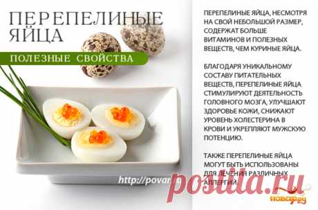 Перепелиные яйца полезные свойства