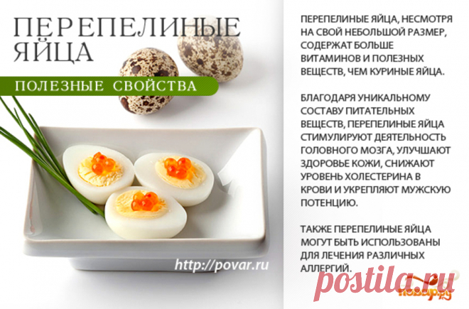 Перепелиные яйца полезные свойства