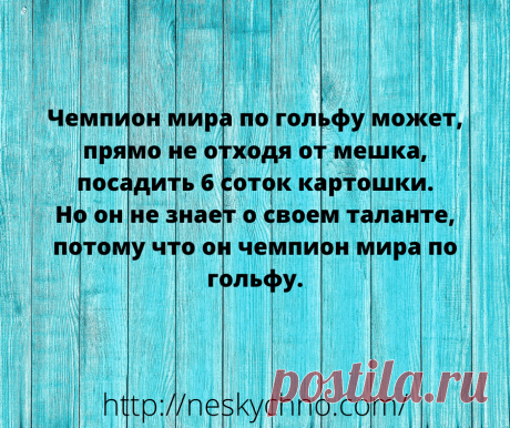 20+ житейских анекдотов для хорошего настроения – Нескучно