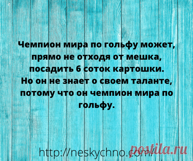20+ житейских анекдотов для хорошего настроения – Нескучно