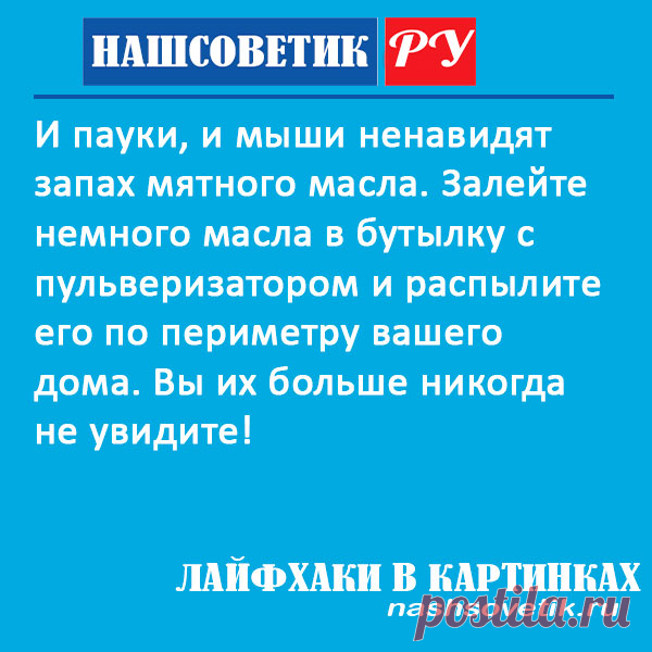 Как избавиться от мышей в доме с помощью масла мяты? Полезный лайфхак для хозяек
#полезныесоветы #лайфхаки #какизбавитьсяотмышей
