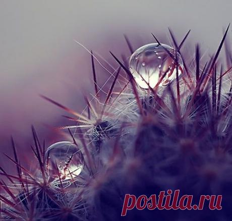 (99+) Одноклассники