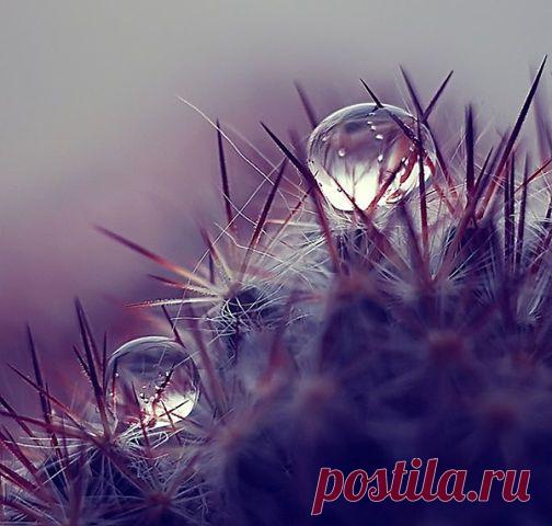 (99+) Одноклассники