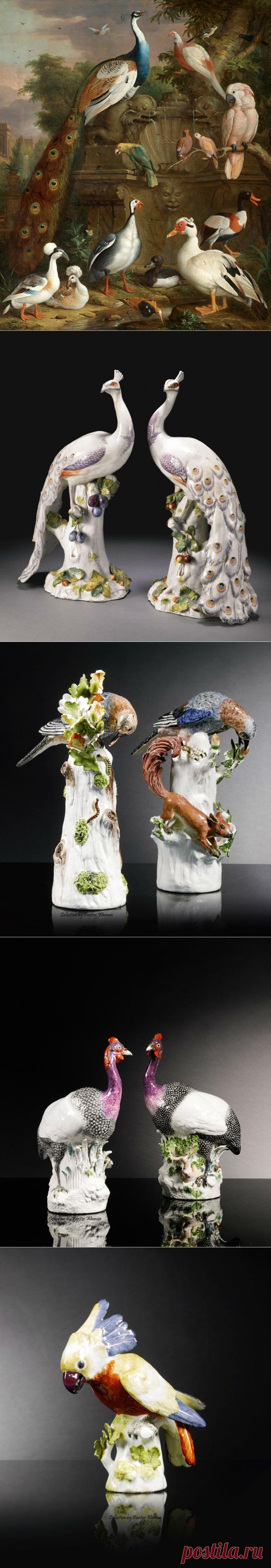 Птичий мир в фарфоре - Майсенская мануфактура,середины XVII в..