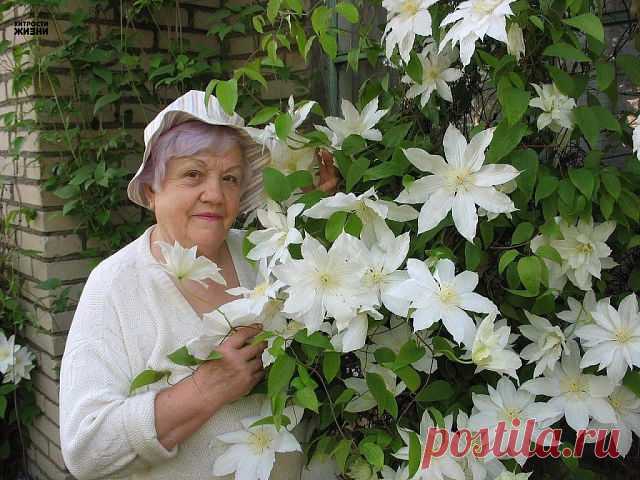Одноклассники