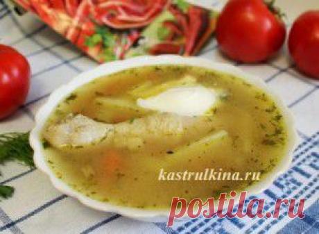 Как приготовить молдавский куриный суп чорбе, рецепт. Это первое блюдо варится довольно просто и быстро, а основное его отличие от обычного куриного супа в том, что мучная заправка готовится с добавлением уксуса, придавая интересную пикантную кислинку .
Второй обязательный компонент супа чорбе – это молотая паприка и молотый красный перец. Подают молдавский чорбе со сметаной и свежей зеленью, а в каждую тарелку обязательно кладут кусочек курочки.