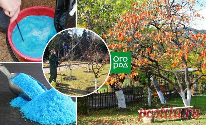 Для чего в саду и огороде применяют медный купорос? | Дела огородные (Огород.ru)