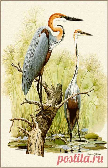 75071.jpg (772×1200)