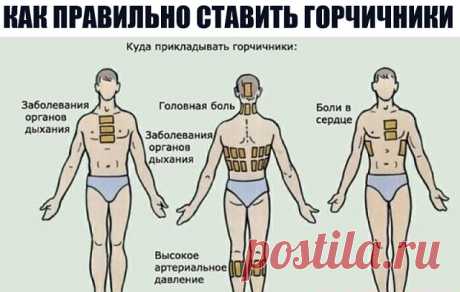 (8) Одноклассники