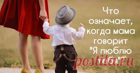 Стиль жизни