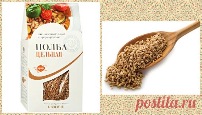 Ценная крупа Полба – полезные свойства, приготовление