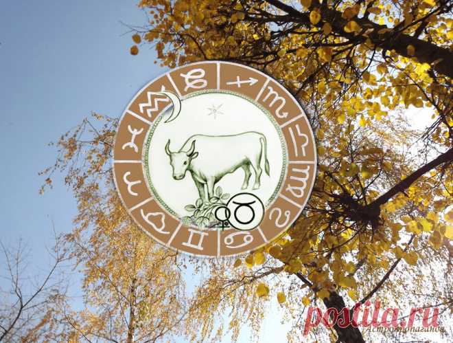 Не нарушайте правила и вам повезет. Гороскоп для Тельца с 5 октября по 1 ноября 2020 | Астропропаганда | Яндекс Дзен
♉✨ Автор: астролог Нина Стрелкова. ✧ Период не слишком активный, и в то же время у вас будет немного больше возможностей, чем у других, для того, чтобы проявить себя в профессиональном плане, стабилизировать материальное положение или улучшить свой внешний вид. Вред может нанести излишняя экстравагантность и демонстрация своей независимости. Старайтесь не нарушать правила