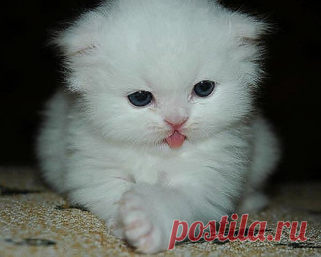 маленький ребёнок из иннета.