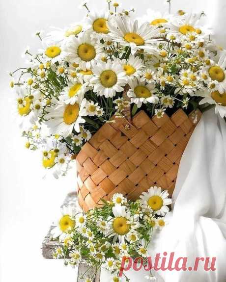 i (720×900)
