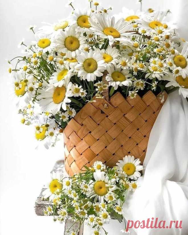 i (720×900)