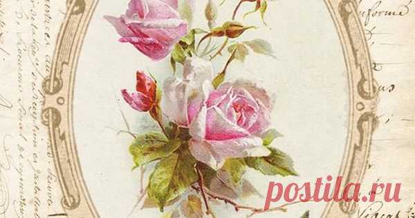 Roses in Art